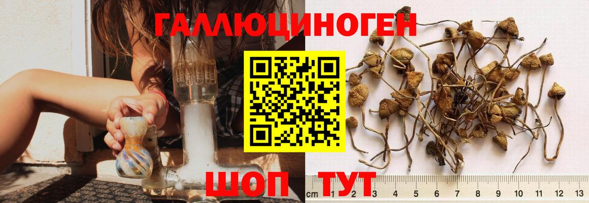 Стрежевой  Псилоцибиновые грибы мухоморы  Вход с VPN 